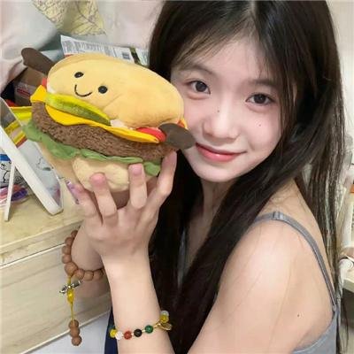 继承者风云